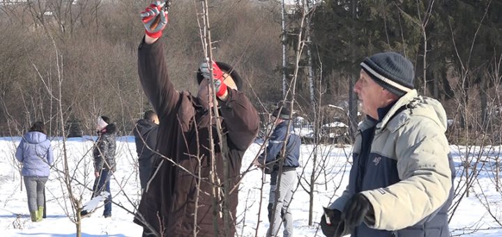 Zimska škola poljoprivrede posvećena obuci rezidbe voća