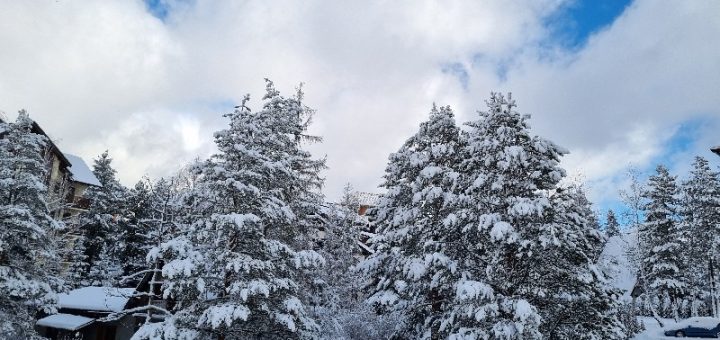 Sneg na Zlatiboru