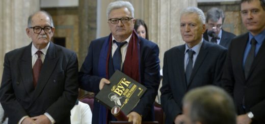 Vukova nagrada za Zorana Stamatovića