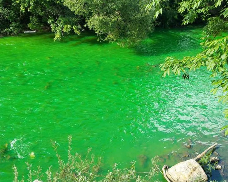 Zelena reka Đetinja